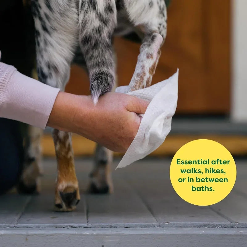 Pet Wipes Hypoallergenic Fragrance Free Cleansing for Dogs and Cats