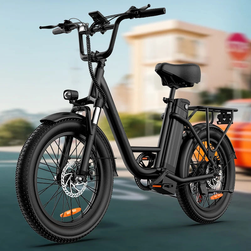 URLIFE 1000W Fat Tire Electric Bike 48V 13Ah Removable Battery