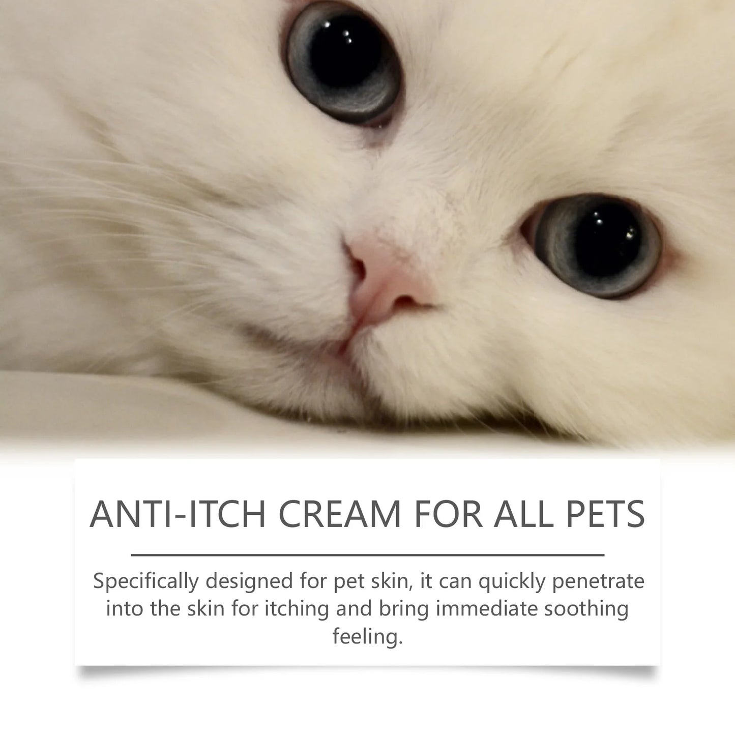 YEGBONG Pet Skin Care Spray Soothing Anti Itch Relief