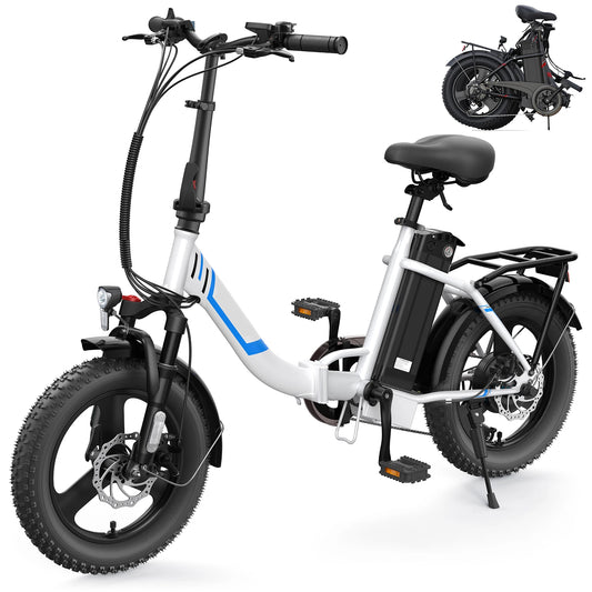 ViviFolded 350W Folding Electric Bike With 48V Removable Battery