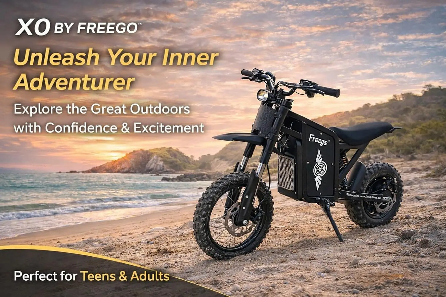 Freego X0 Electric Dirt Bike