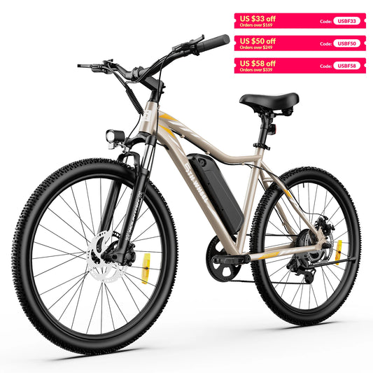 5th Wheel AB17 Electric Bike With 700W Peak Motor Performance