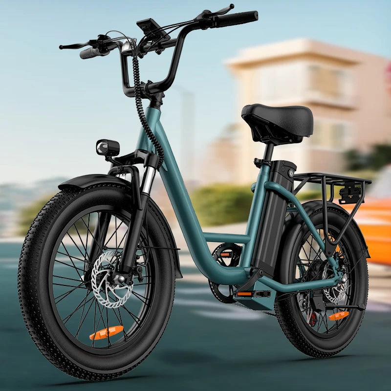 URLIFE 1000W Fat Tire Electric Bike 48V 13Ah Removable Battery