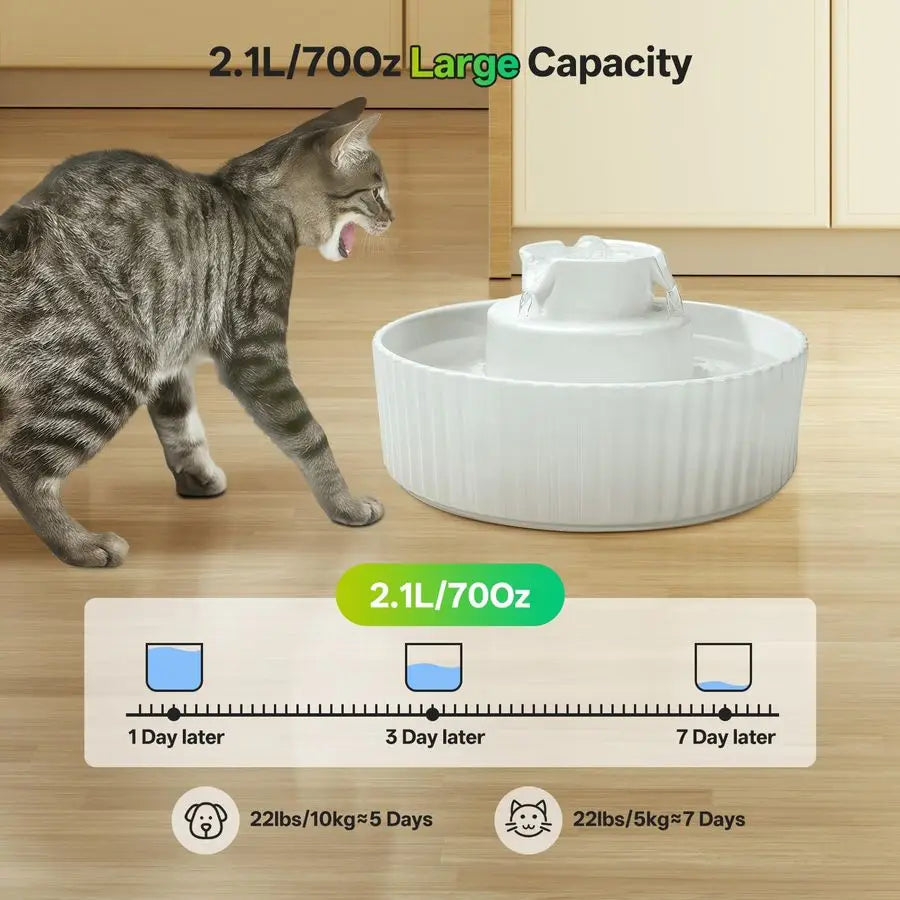 Cat Water Fountain With Replacement Filters And Auto Dispenser