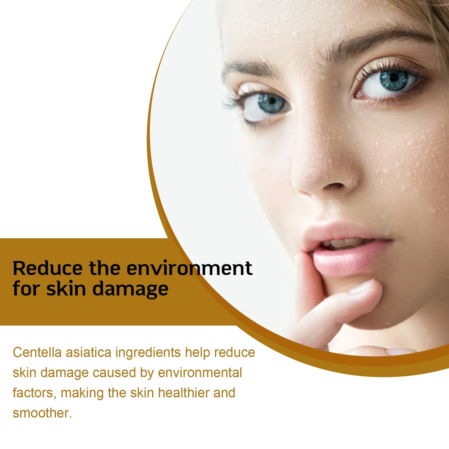 Eelhoe Centella Facial Serum for Hydration Brightening and Firming